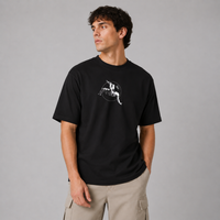 Camiseta Oversize (Icarus)