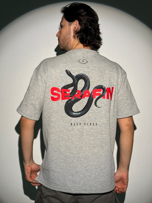 Camiseta Oversize (Serafin)